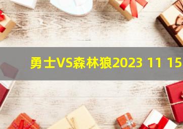 勇士VS森林狼2023 11 15